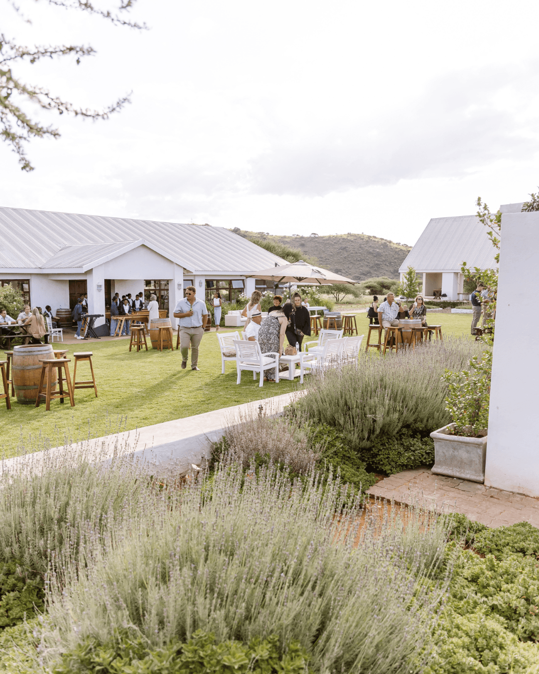 Guests enjoy a relaxed outdoor cocktail hour on a sunny lawn at a wedding venue